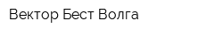 Вектор-Бест-Волга