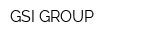 GSI GROUP