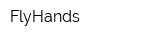FlyHands