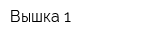 Вышка 1