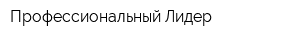 Профессиональный Лидер