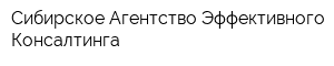 Сибирское Агентство Эффективного Консалтинга