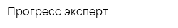 Прогресс-эксперт