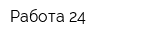 Работа 24