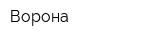 Ворона