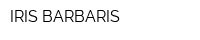 IRIS BARBARIS