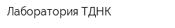 Лаборатория ТДНК