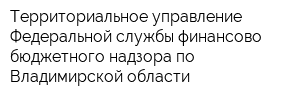 Территориальное управление Федеральной службы финансово-бюджетного надзора по Владимирской области