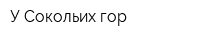 У Сокольих гор