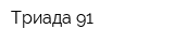 Триада 91