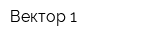 Вектор 1