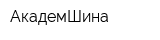 АкадемШина