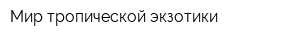 Мир тропической экзотики