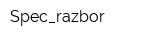 Spec_razbor