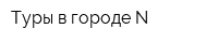 Туры в городе N