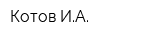 Котов ИА