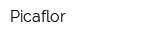 Picaflor
