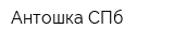 Антошка СПб