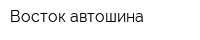 Восток автошина