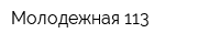 Молодежная 113