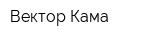 Вектор-Кама