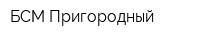 БСМ Пригородный