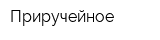 Приручейное