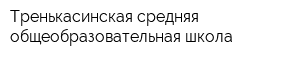 Тренькасинская средняя общеобразовательная школа