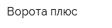 Ворота плюс