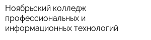 Ноябрьский колледж профессиональных и информационных технологий