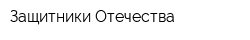 Защитники Отечества