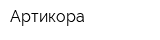 Артикора