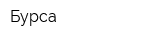 Бурса