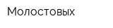 Молостовых