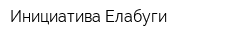 Инициатива Елабуги