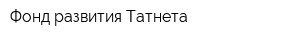 Фонд развития Татнета