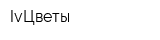 IvЦветы