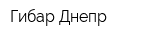 Гибар-Днепр