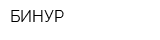 БИНУР