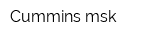 Cummins-msk