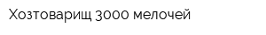 Хозтоварищ 3000 мелочей