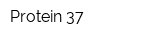 Protein-37