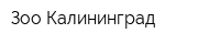 Зоо Калининград