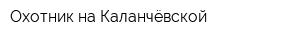 Охотник на Каланчёвской