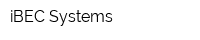 iBEC Systems