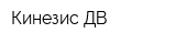 Кинезис ДВ