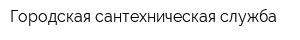 Городская сантехническая служба