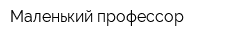 Маленький профессор