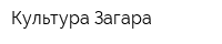 Культура Загара