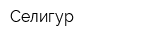 Селигур